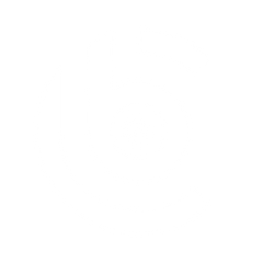 BINGO Futsal logo